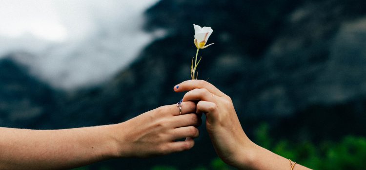 もつれた夫婦の関係をみなおす 夫婦関係をみつめなおすカウンセリング